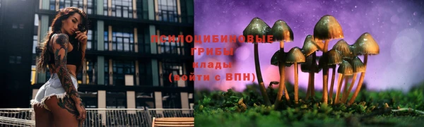 ГАЛЛЮЦИНОГЕННЫЕ ГРИБЫ Богородицк