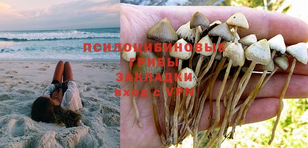 кокс Богданович