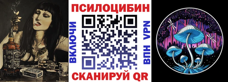 гидра зеркало  shop формула  Новотроицк  Псилоцибиновые грибы Psilocybine cubensis  где купить наркоту 