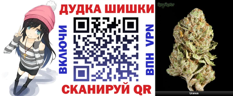 Канабис план Новотроицк